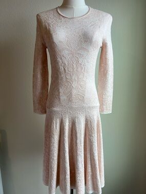 Alexander McQueen Pale Blush Lace Long-Sleeve Mini Dress